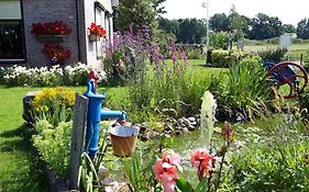 B&B Veluwemeerpension